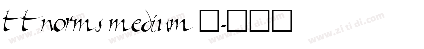 ttnorms medium 中字体转换